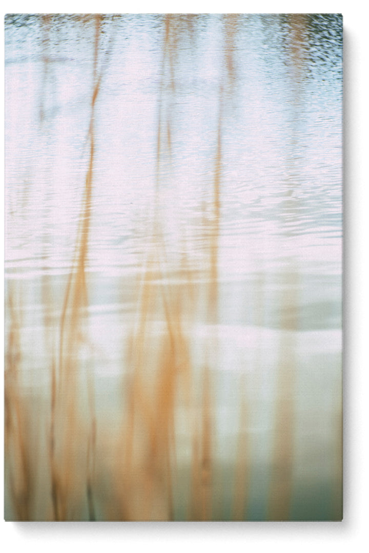 Holz Licht Natur