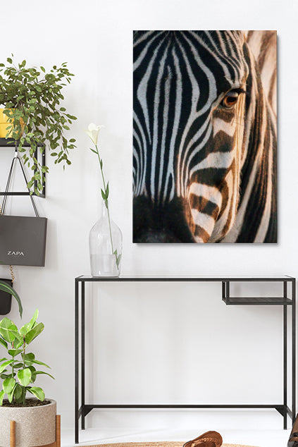 Zebra Soul