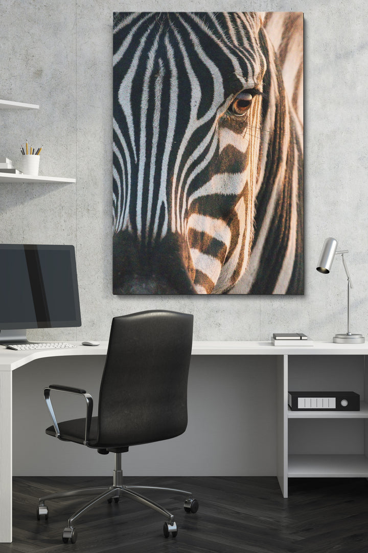 Zebra Soul