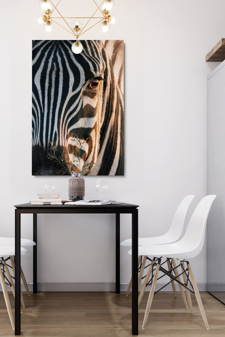 Zebra Soul