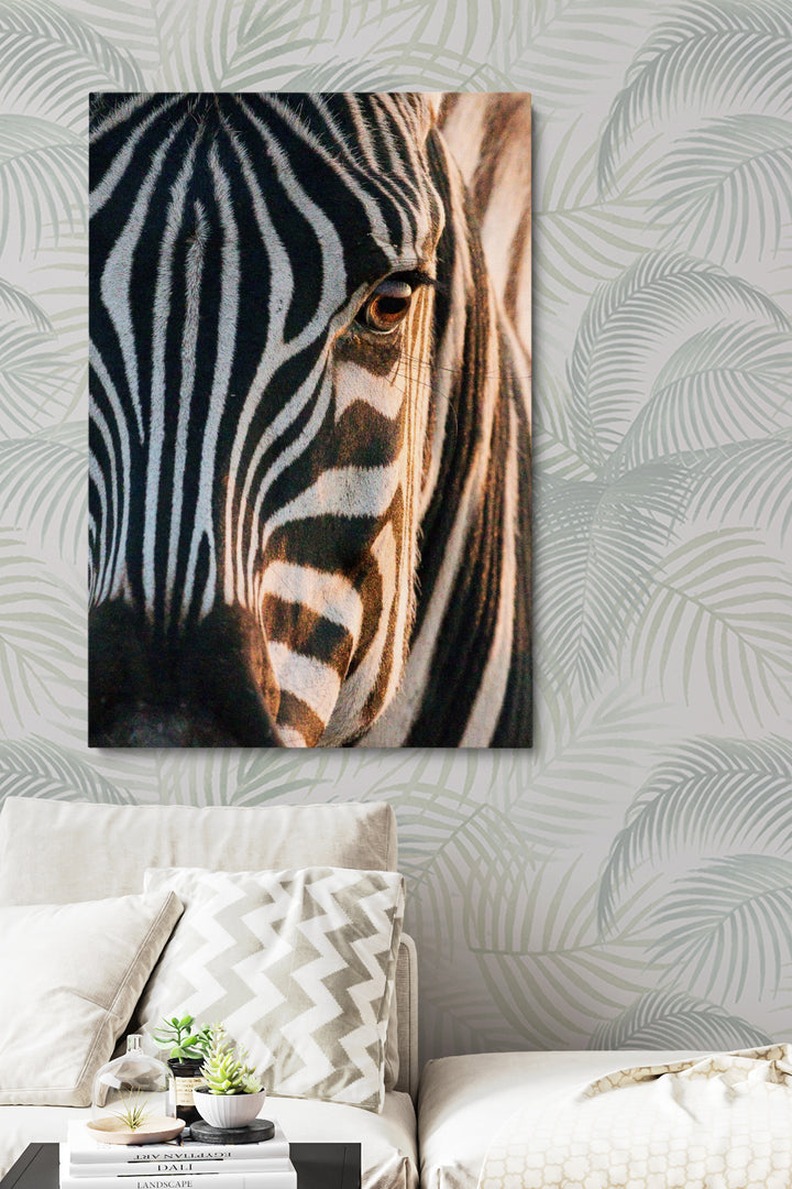 Zebra Soul