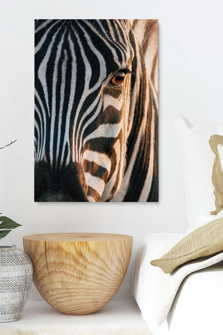 Zebra Soul