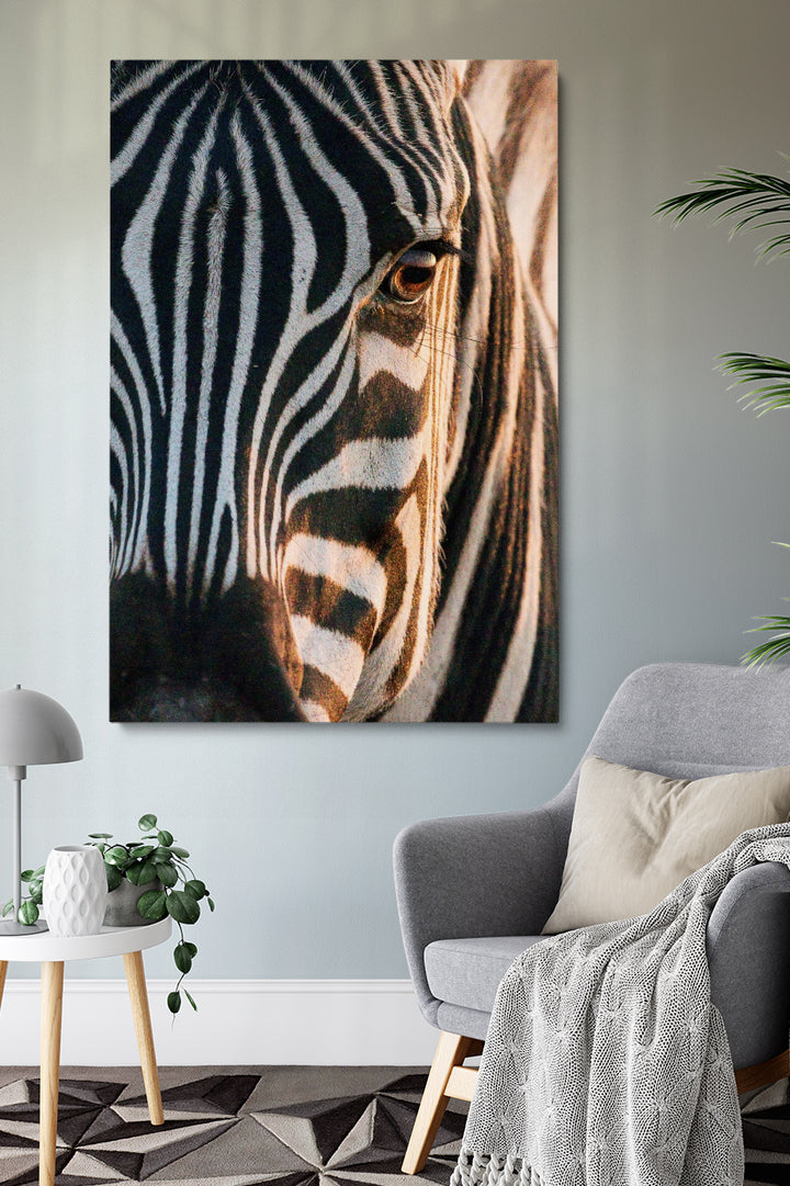 Zebra Soul
