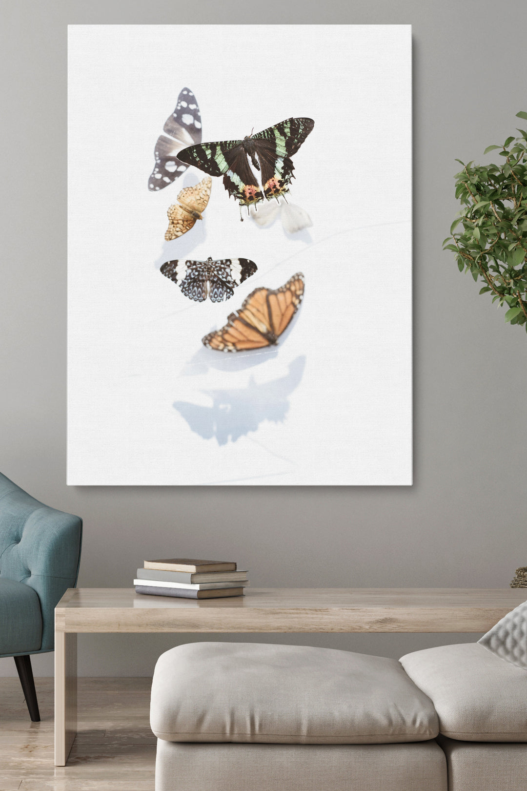 Butterflies