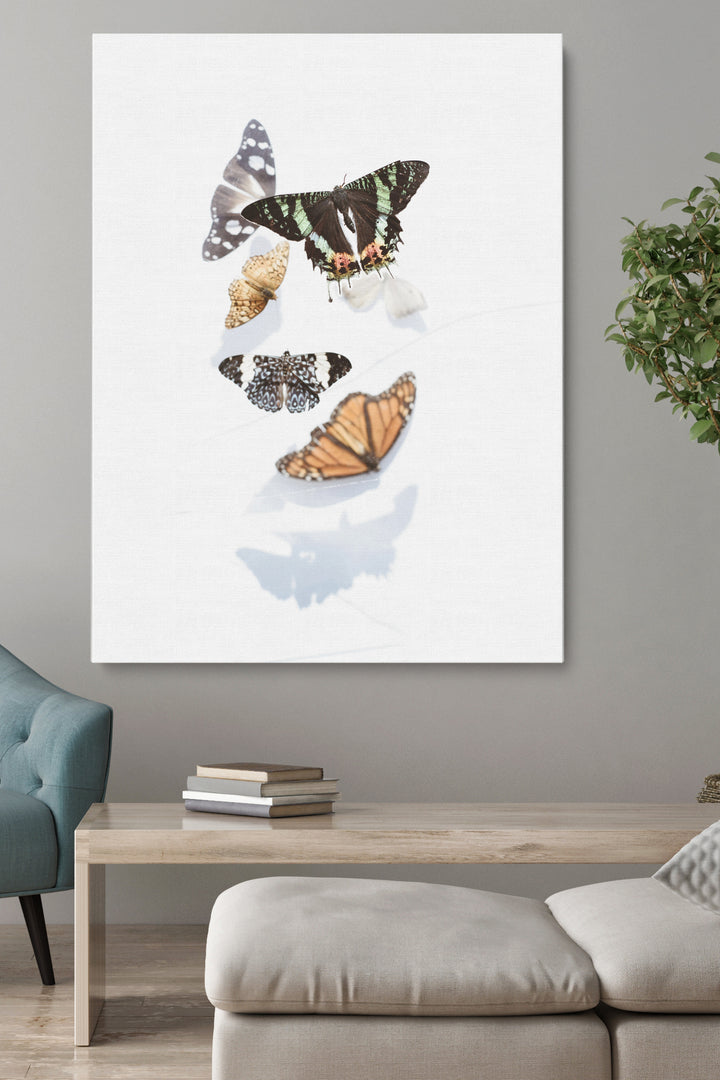 Butterflies