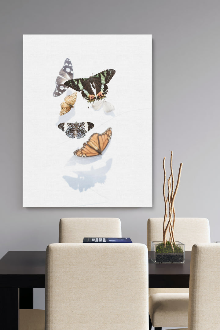 Butterflies