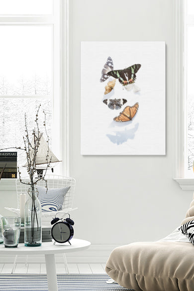 Butterflies