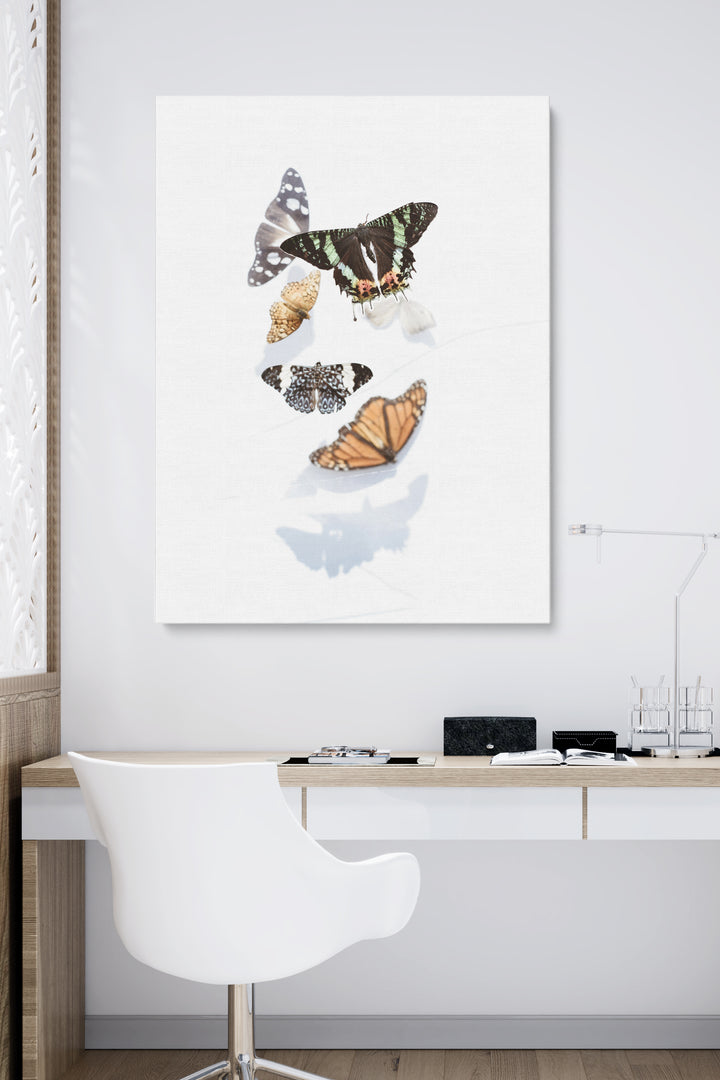 Butterflies