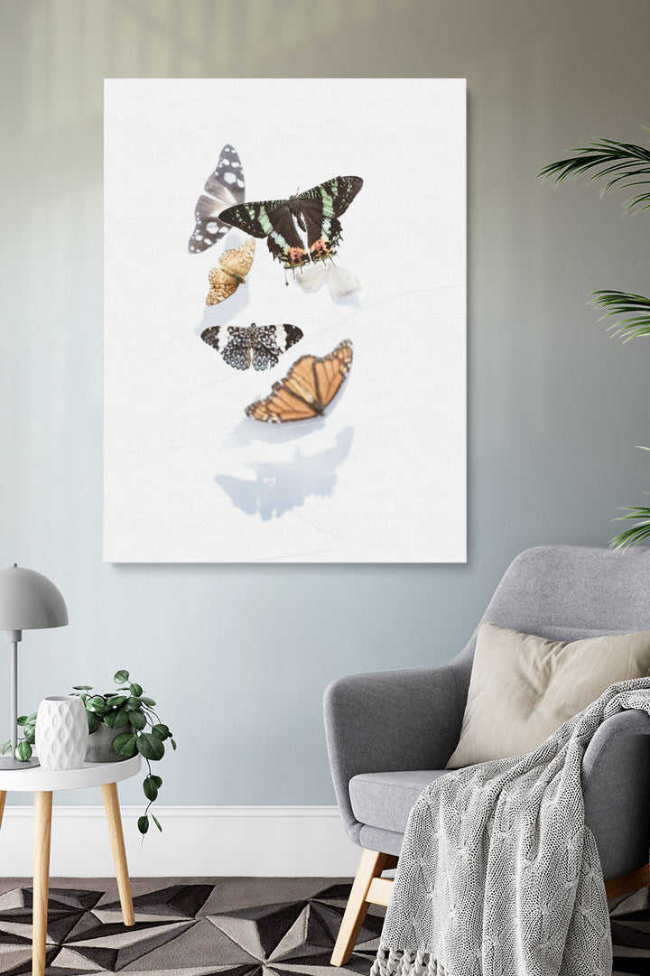 Butterflies