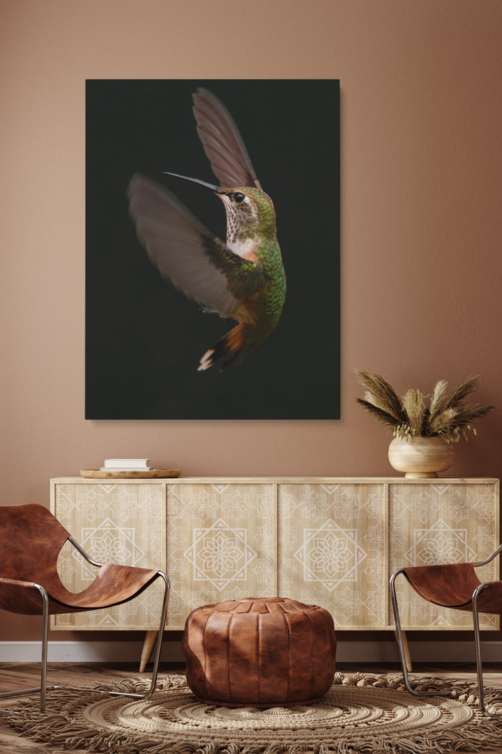 Colibri Verspieltheit