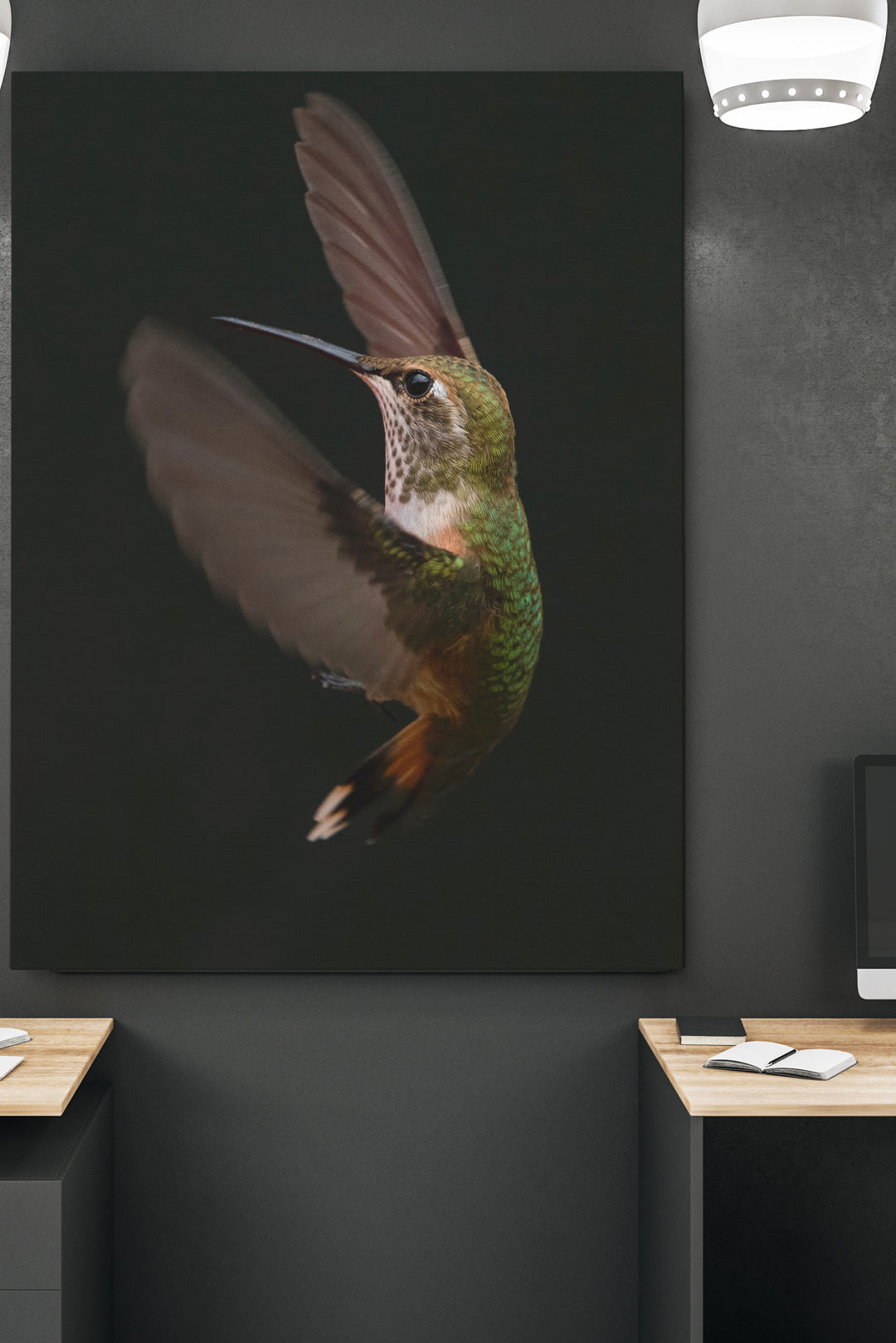 Colibri Verspieltheit