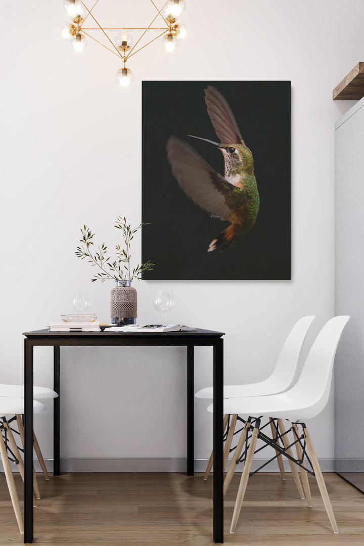 Colibri Verspieltheit
