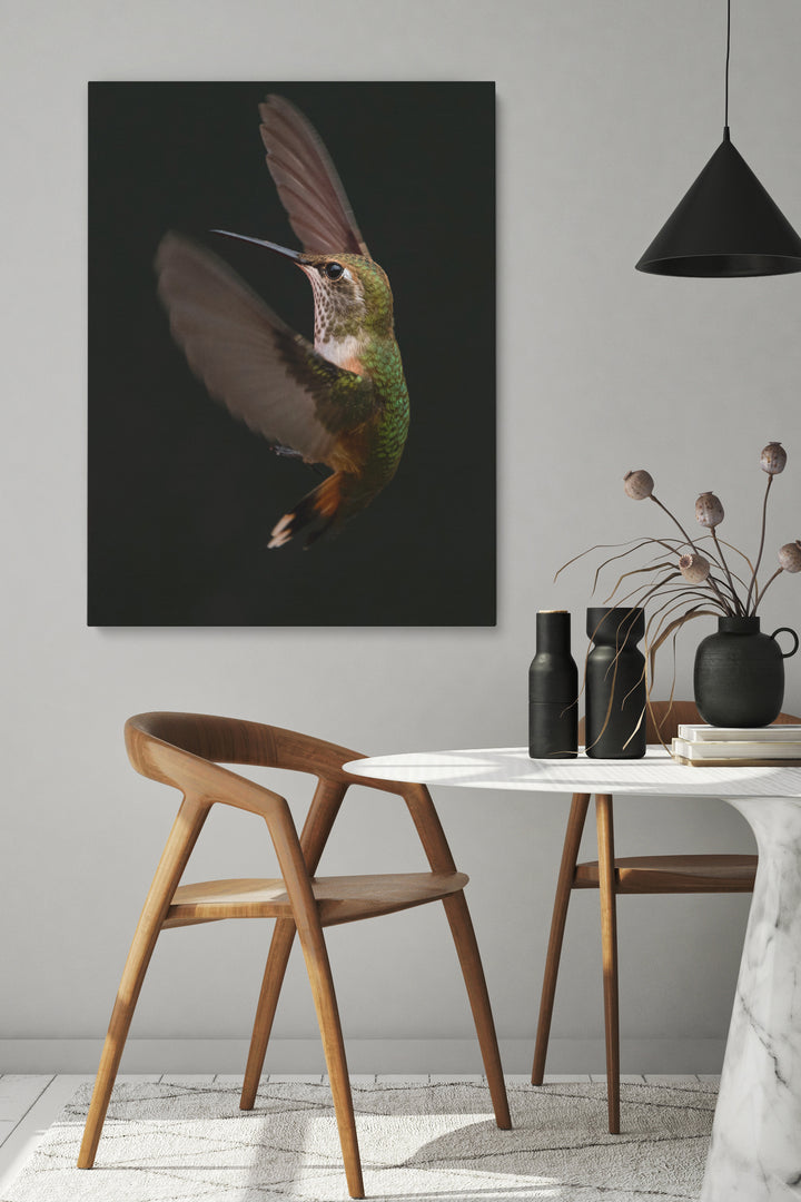 Colibri Verspieltheit