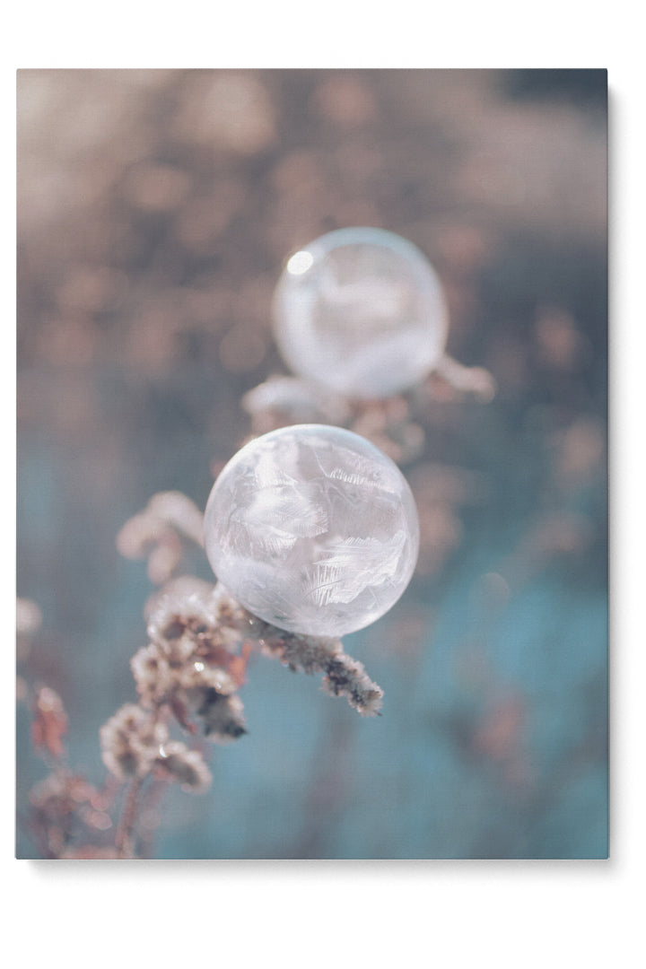 Focus Bubbles