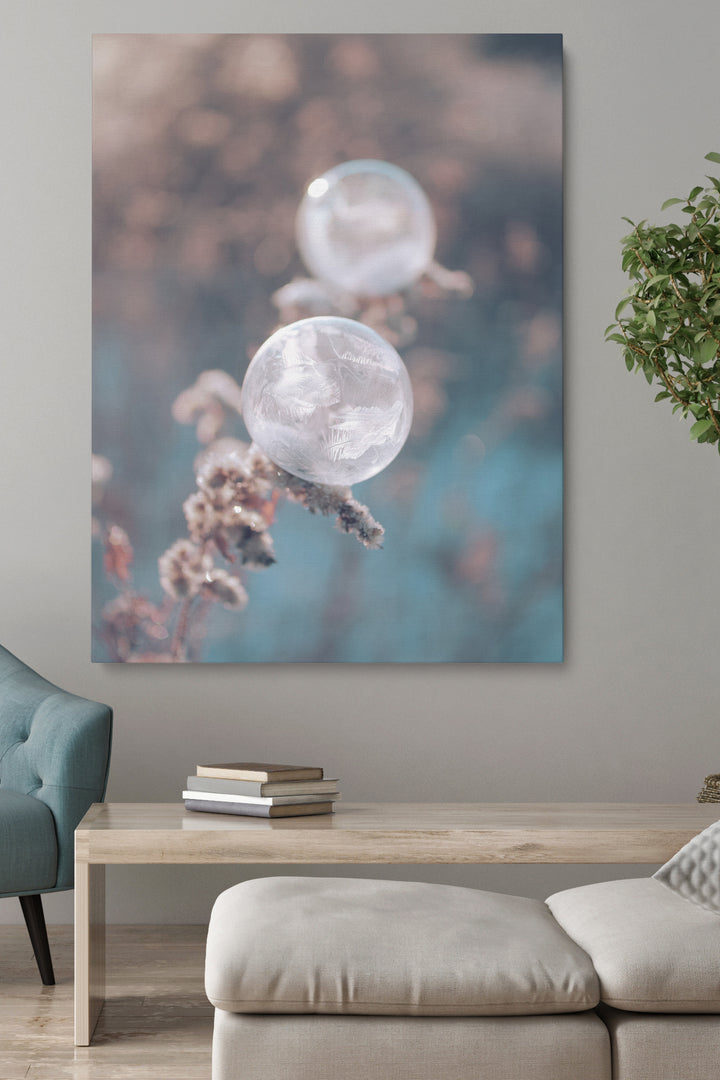 Focus Bubbles