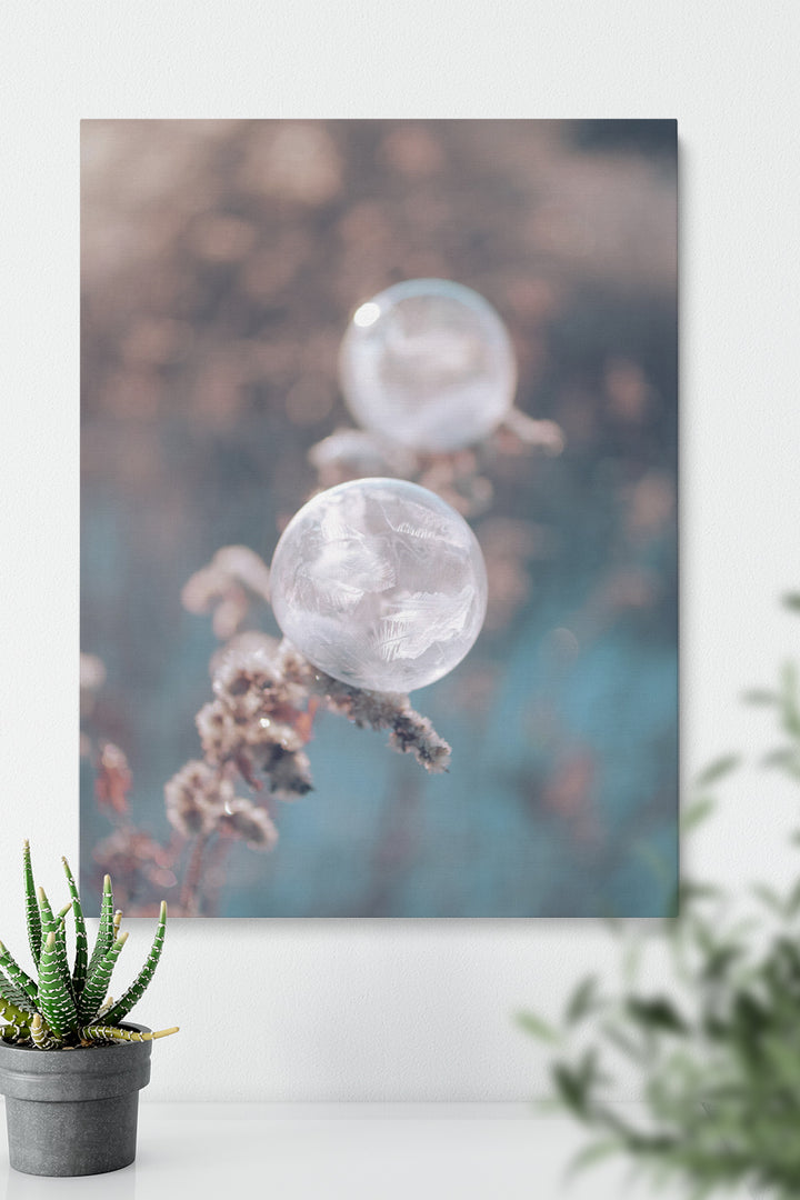 Focus Bubbles