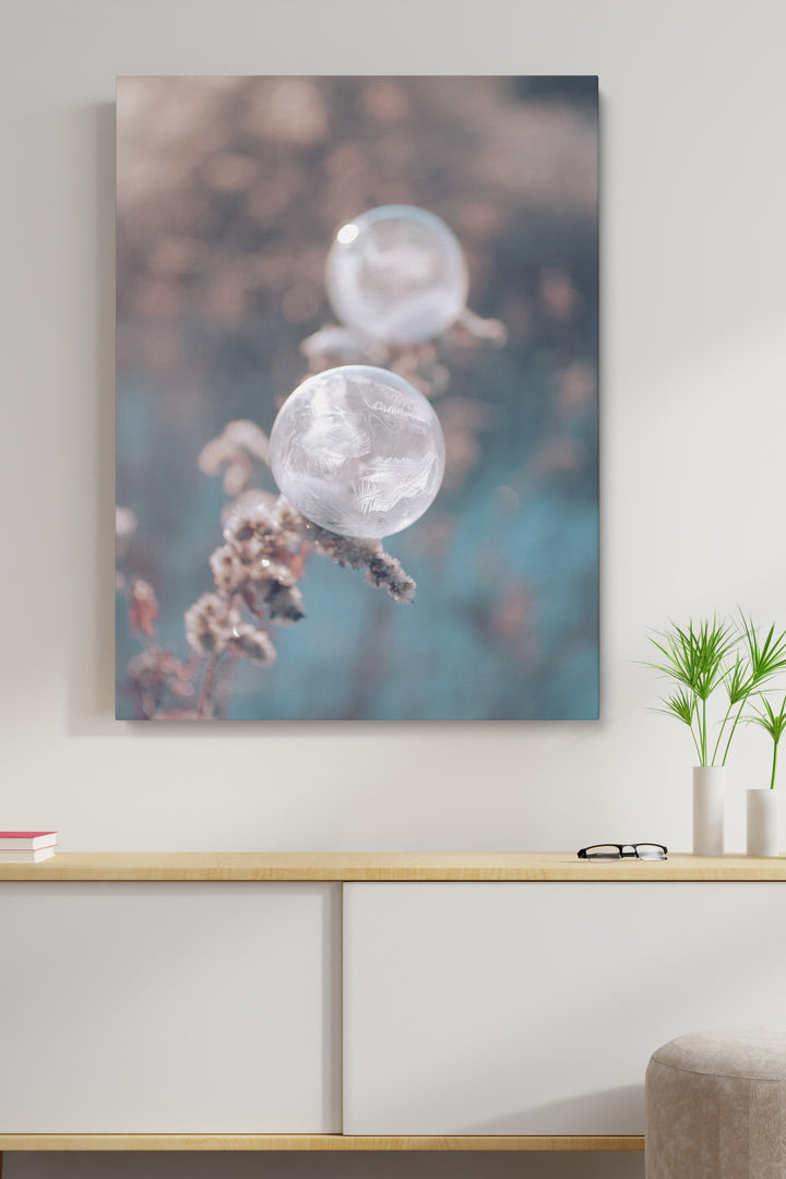 Focus Bubbles