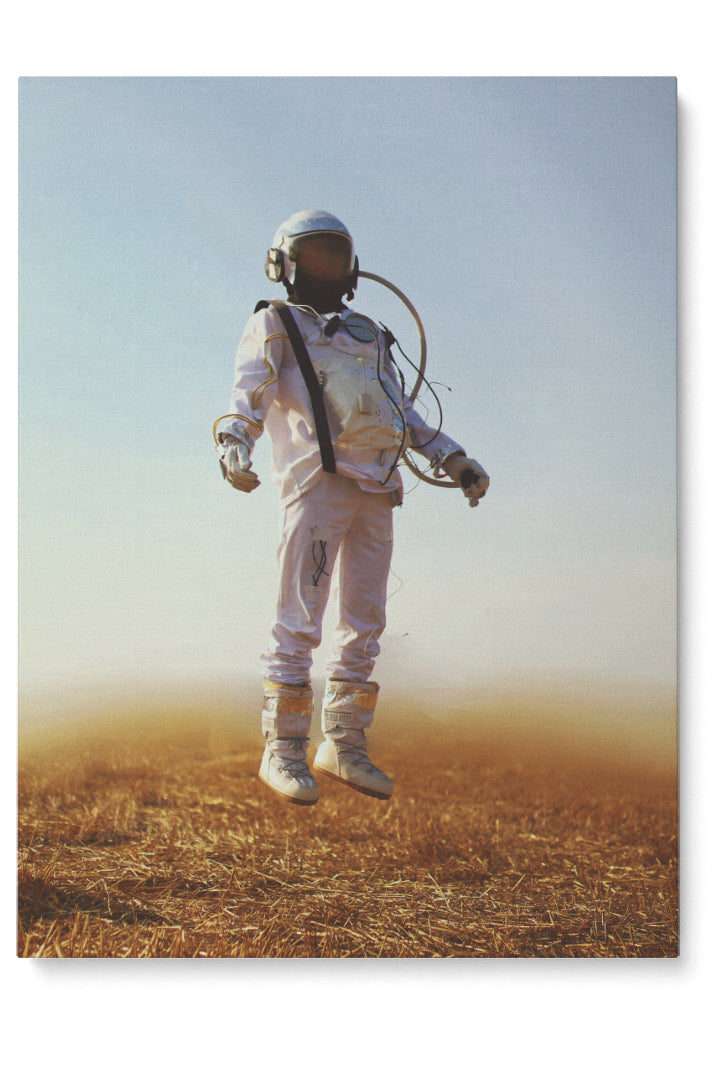 Lonely Astronaut