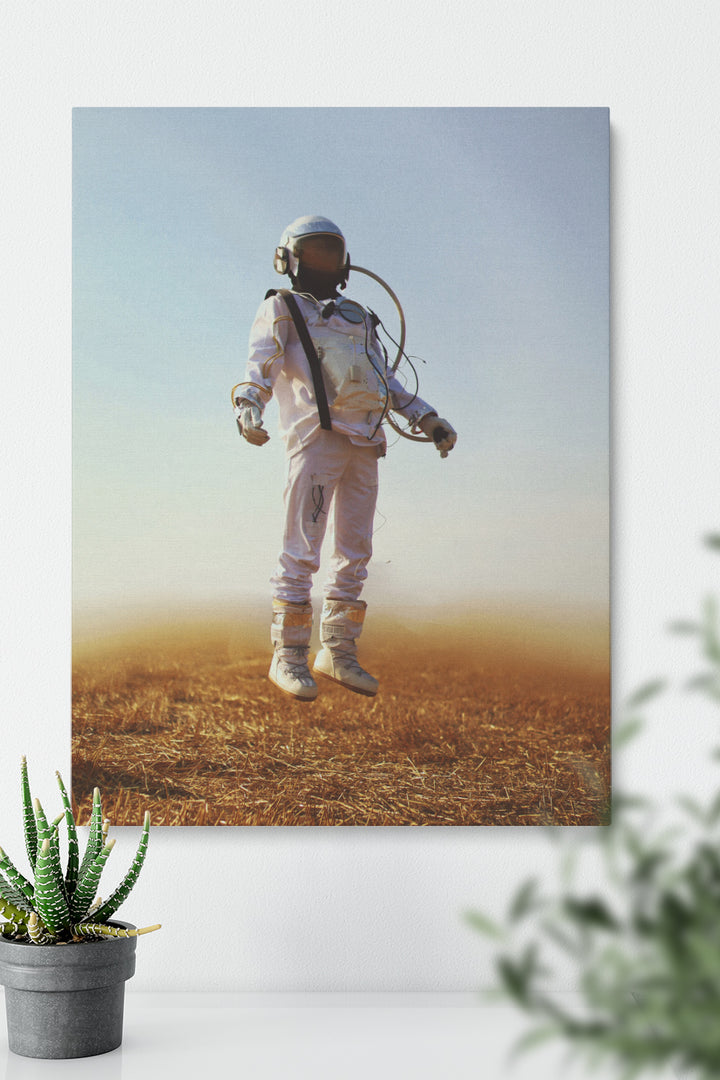 Lonely Astronaut
