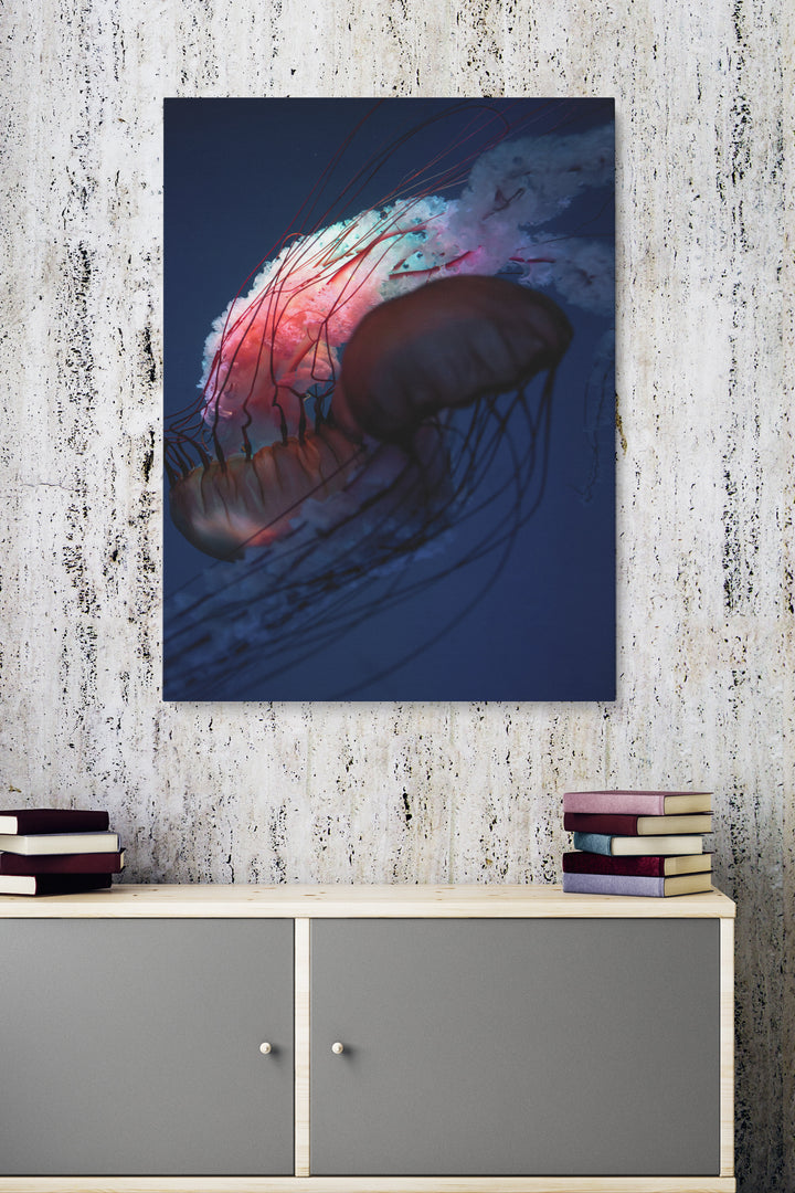 Red Jellyfish