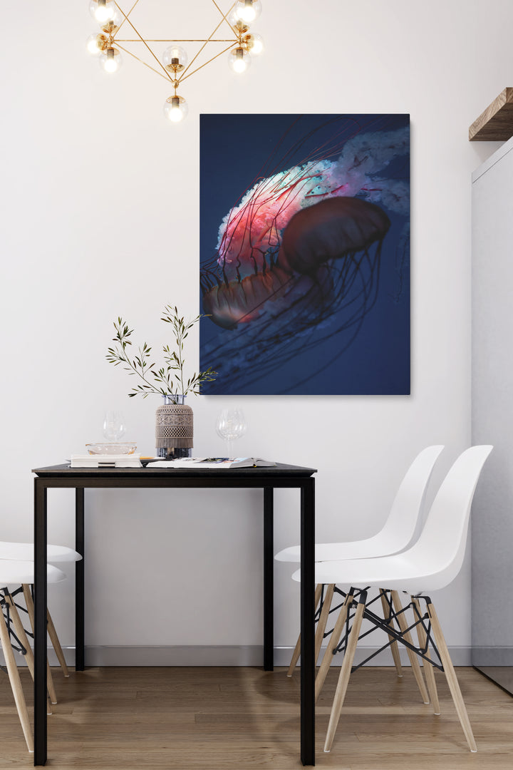 Red Jellyfish