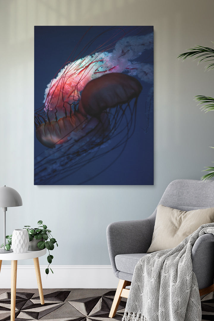 Red Jellyfish