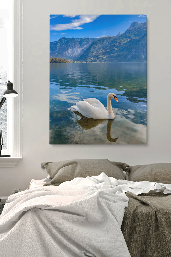 Schwan in norwegischen Fjorden