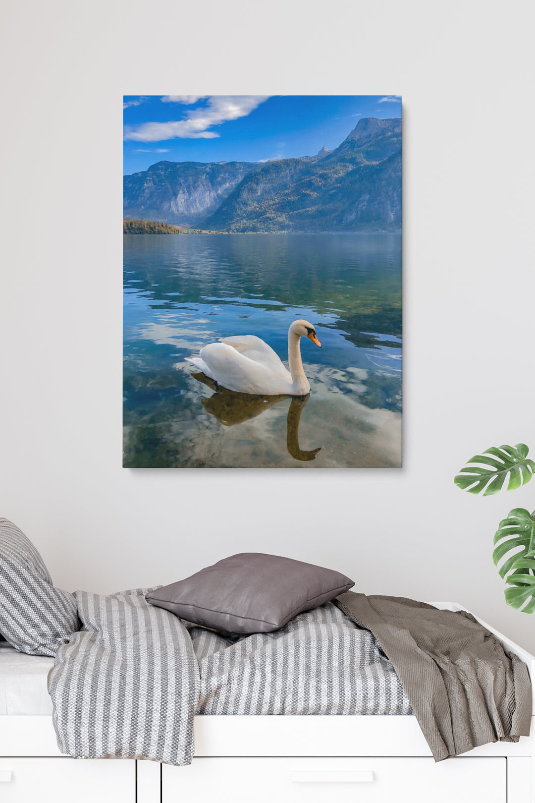 Schwan in norwegischen Fjorden