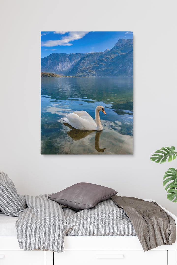Schwan in norwegischen Fjorden