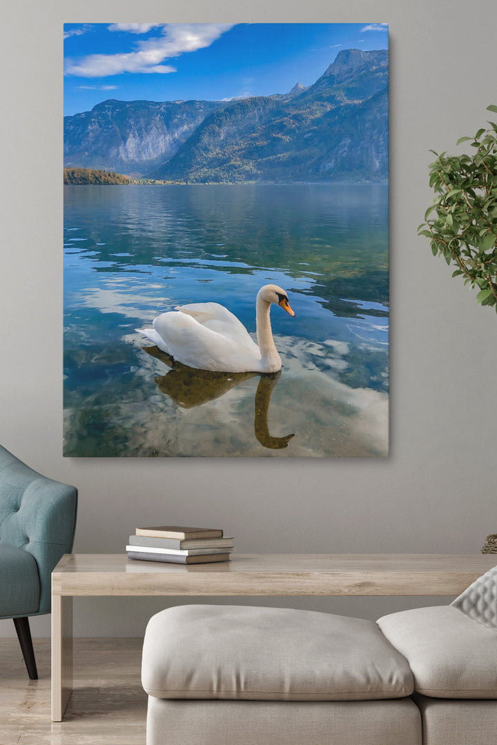 Schwan in norwegischen Fjorden