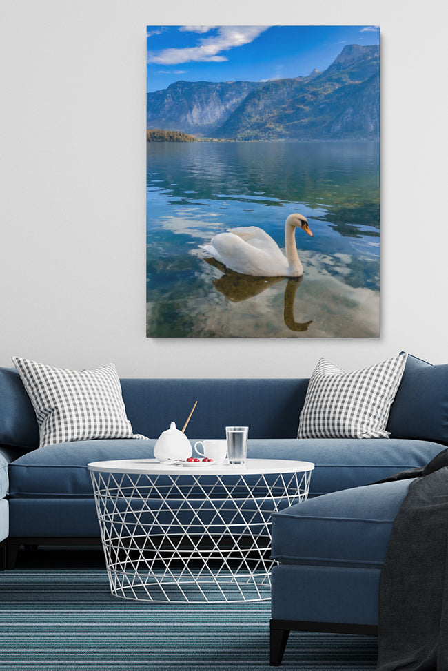 Schwan in norwegischen Fjorden