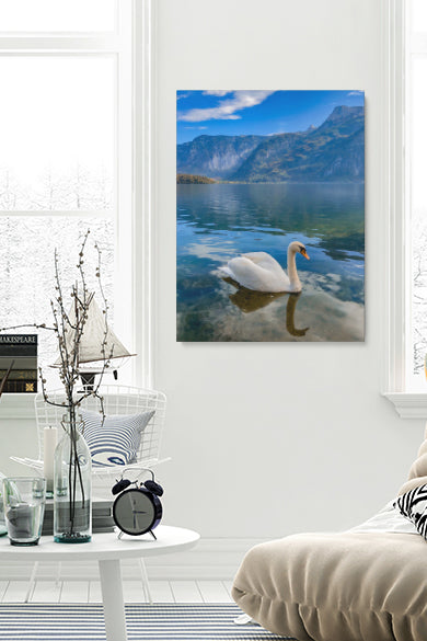 Schwan in norwegischen Fjorden