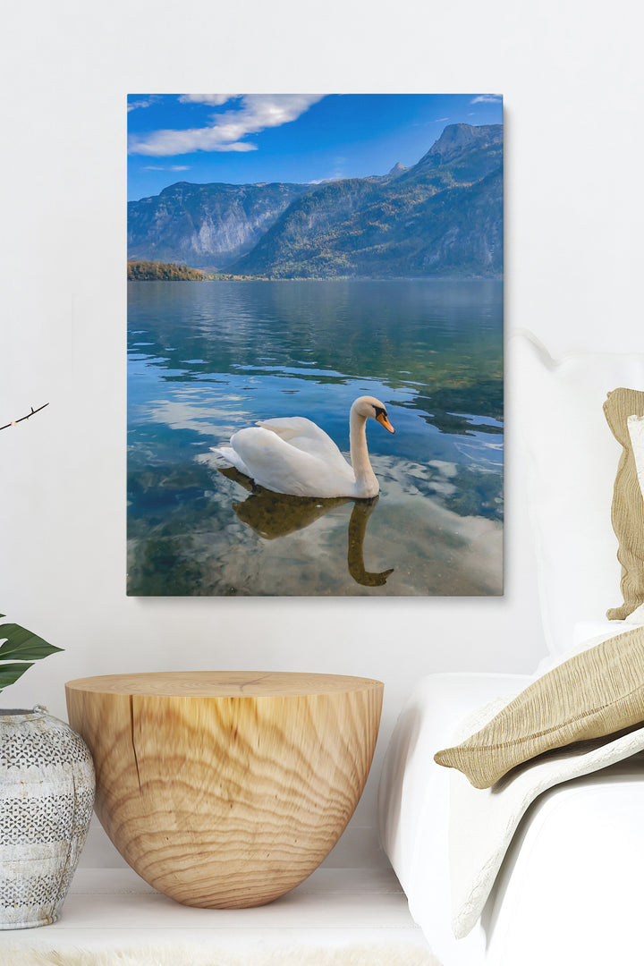 Schwan in norwegischen Fjorden