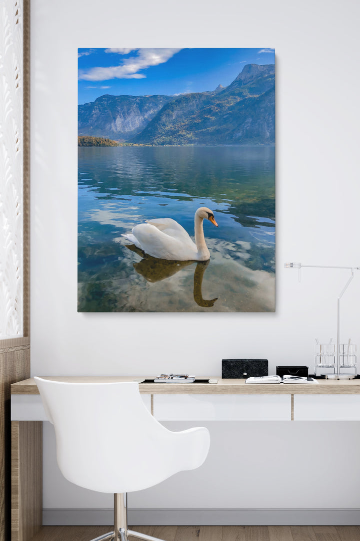 Schwan in norwegischen Fjorden