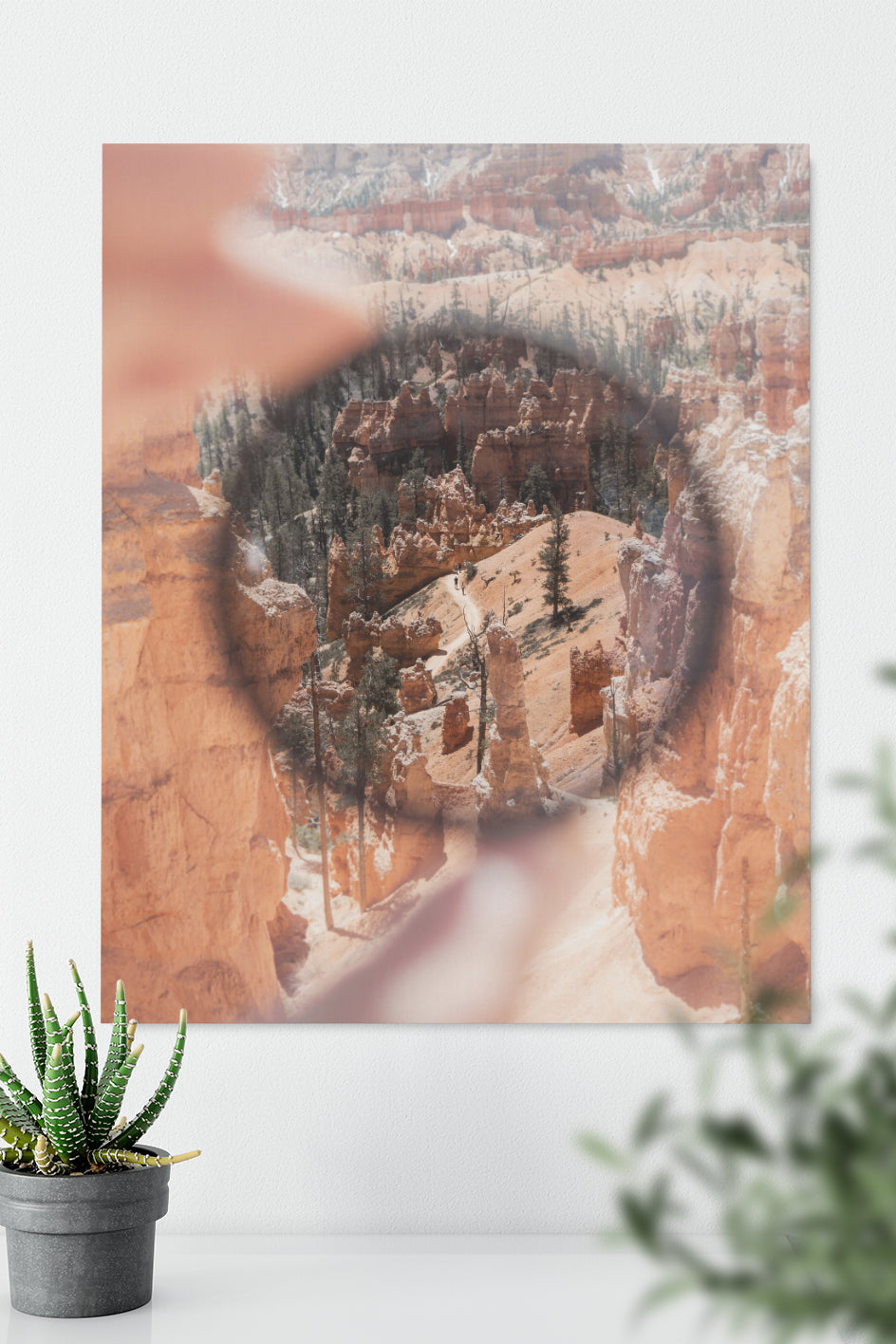 Canyon Lens