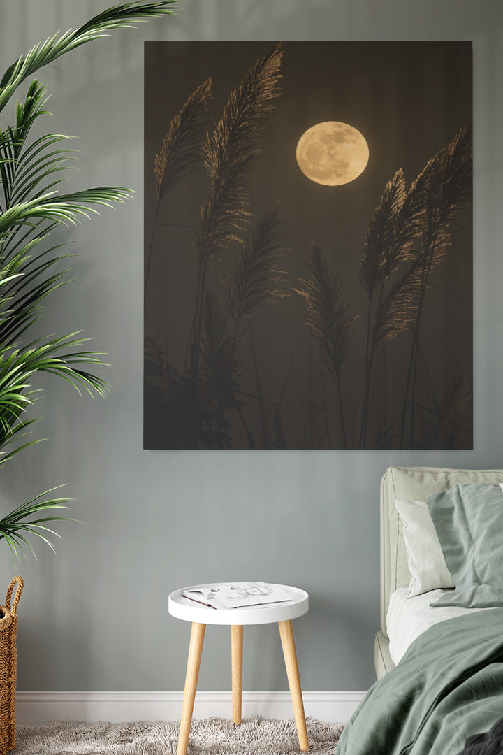 Grass In Moonlight