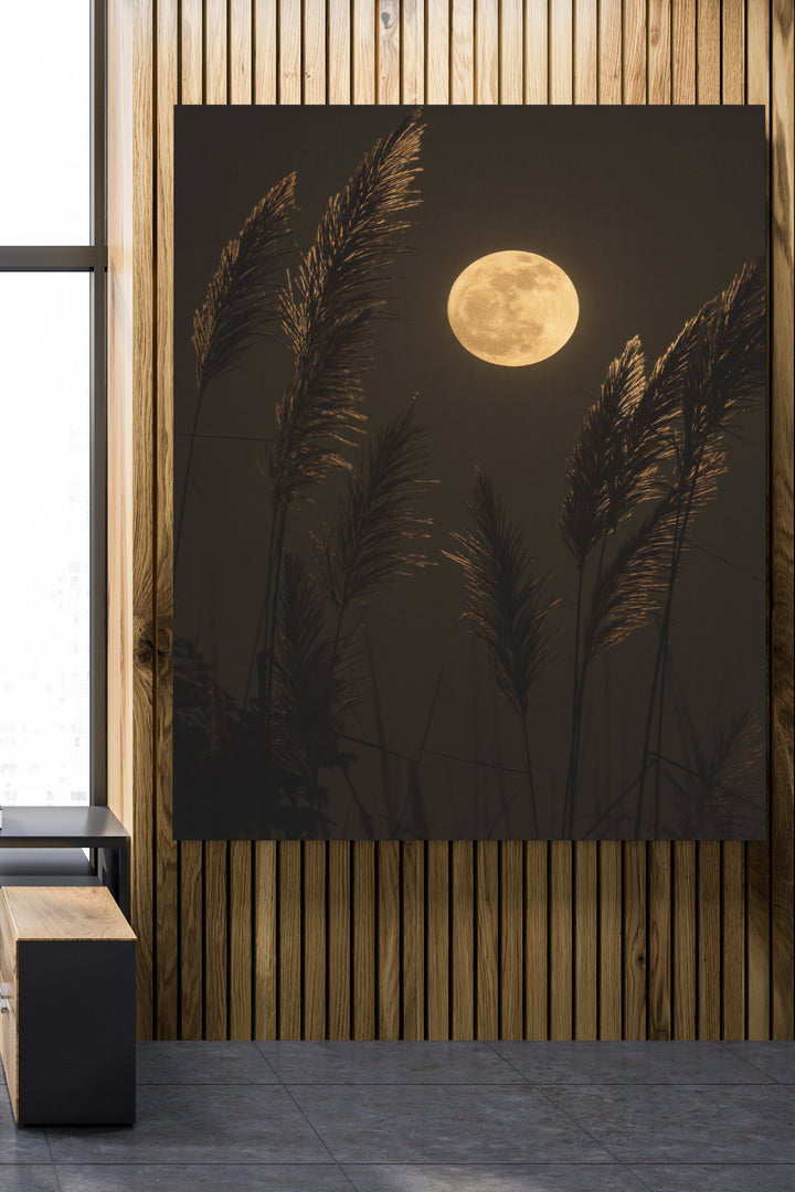 Grass In Moonlight