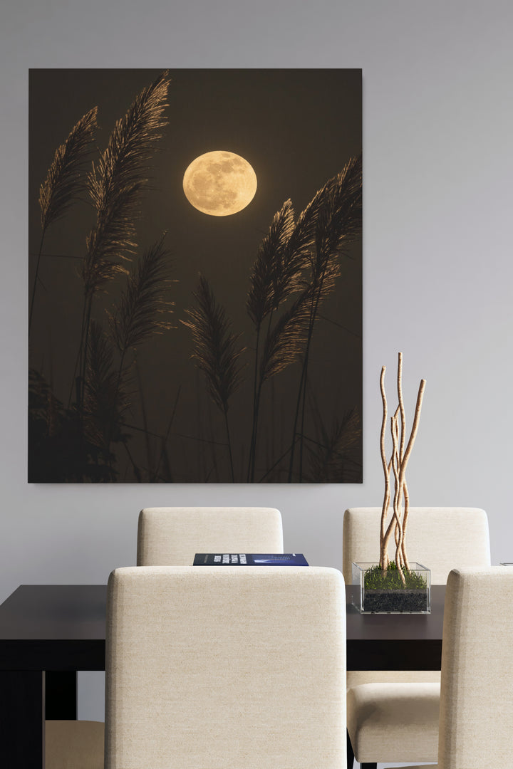 Grass In Moonlight