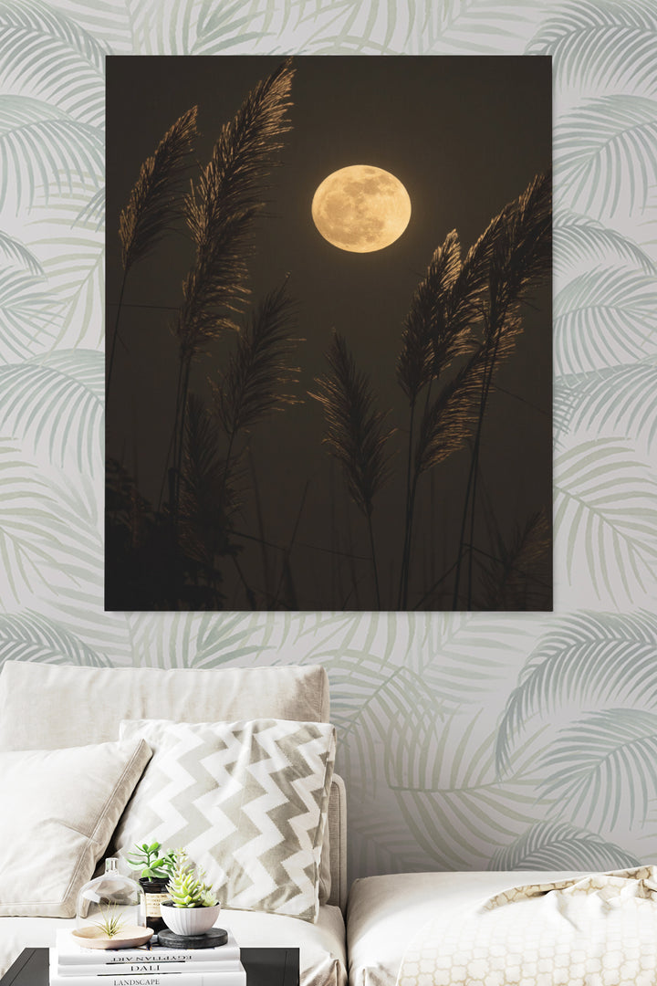 Grass In Moonlight