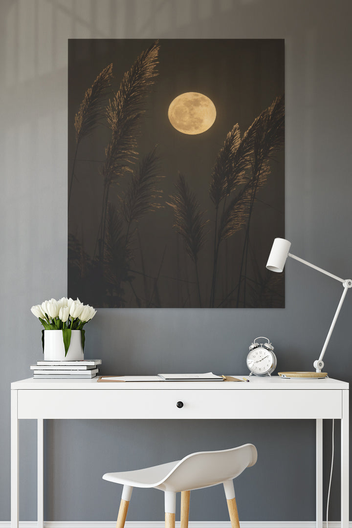 Grass In Moonlight
