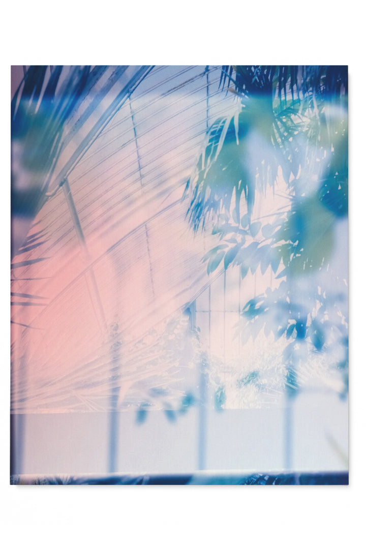 Medium Negatives