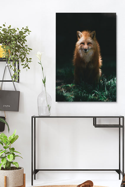 Mysterious Fox