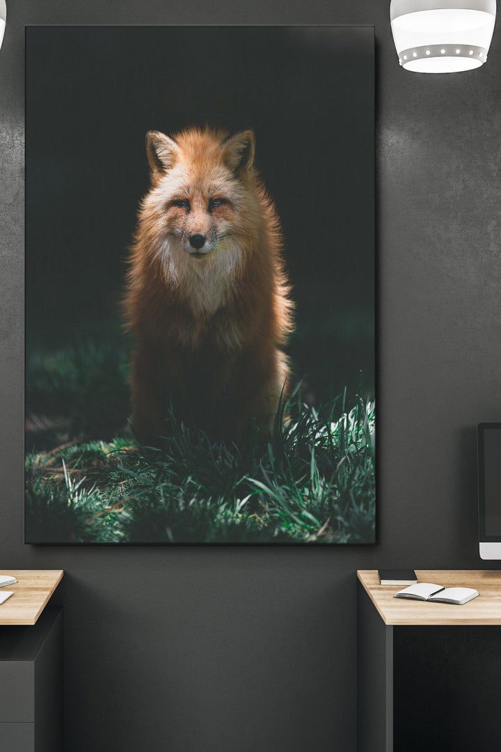 Mysterious Fox