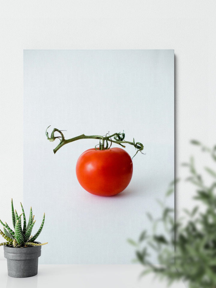 Tomato Branch