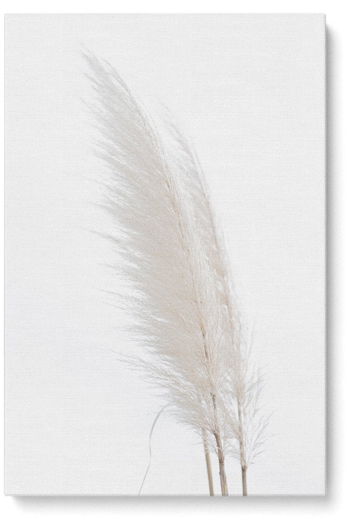 Silky Like Feathers